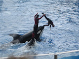 Picture 067.jpg