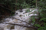 DSC_0135.JPG