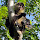 Yucatan Peninsula Biodiversity 