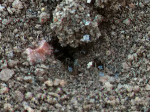 Spotting Image 1