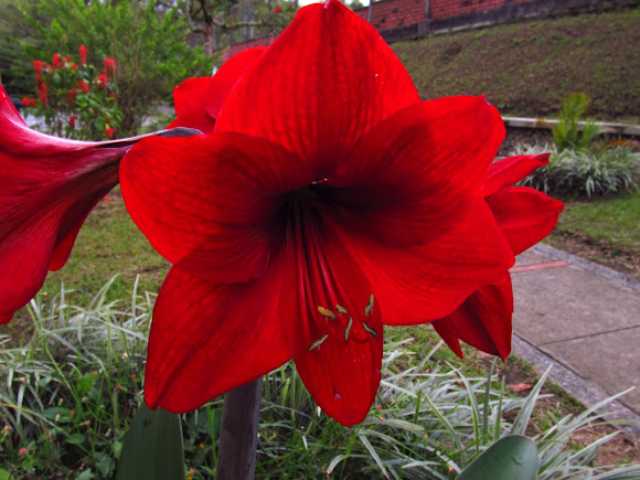 Spotting Image 1