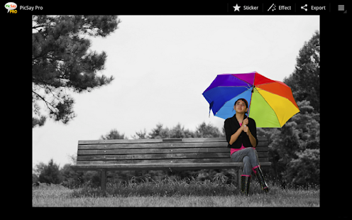 App PicSay Pro - Photo Editor APK for Windows Phone ...