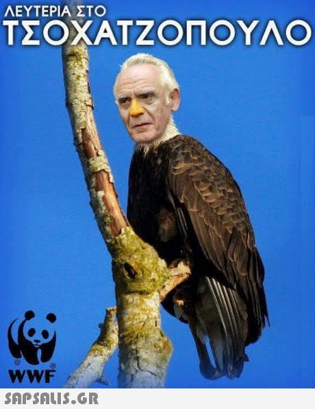 ΛΕΥΤΕΡΙΑ ΣΤΟ ΤΣΟΧΑΤΖΟΠΟΥΛΟ WWF 