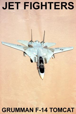 Grumman F-14 Tomcat FREE