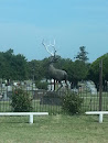 Elk of the Cemetery 
