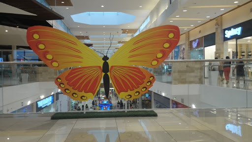 Mariposa 2 Del Mall