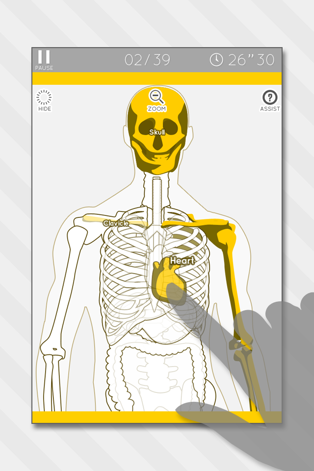 Android application Enjoy Learning Anatomy puzzle screenshort