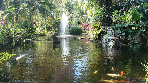 Koi Pond at Eastern Lagoon 2
