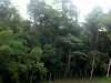 Vendo Finca  Precio En $ Dolares Americanos