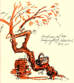 Essigbaum. Sepiatusche laviert. Norman Liebold, 2008