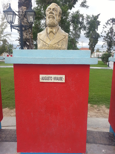 Busto Augusto Krause