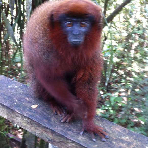 Spotting Image 1