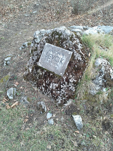 Pomnik Antonin Sevcik