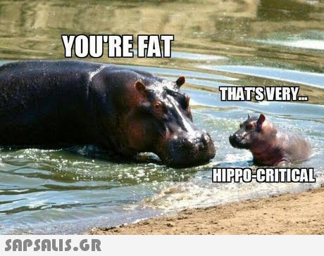 YOURE FAT THATS VERY HIPPO CRITICAL 