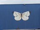 Big Butterfly