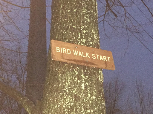 Bird Walk Start