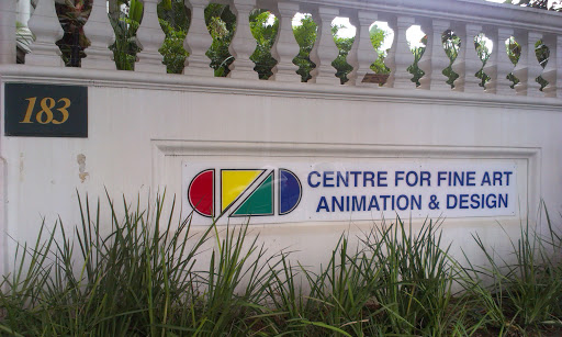 Centre for Fine Art Animation & Design