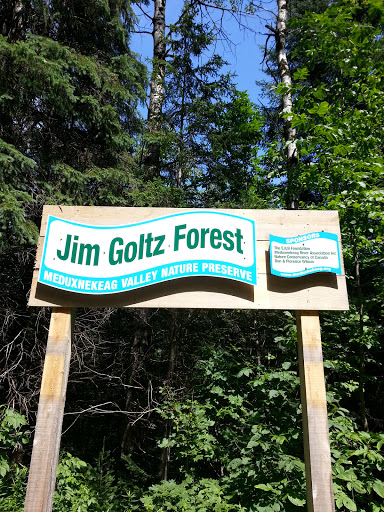 Jim Goltz Forest