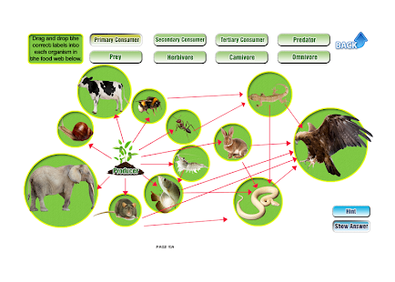 How to mod Ecology 2 patch 2.1 apk for android