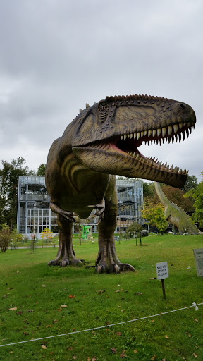 Gogantosaurus