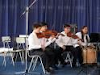 Violines Violas Cellos Para Estudiantes