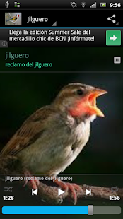 How to install Claim goldfinch patch 1.0 apk for bluestacks