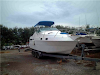 Bote Cobia 27 Pies