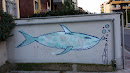 Balena Azzurra Graffiti