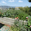 Cgl's Vegetable garden