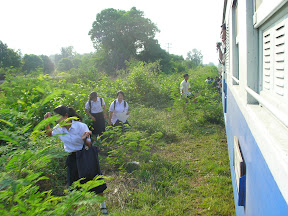 4-22 март 2008. Бкк-Конч-Тао-Самуи-Краби-ПиПи. Фото + Видео