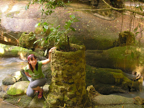 4-22 март 2008. Бкк-Конч-Тао-Самуи-Краби-ПиПи. Фото + Видео