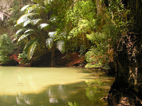 4-22 март 2008. Бкк-Конч-Тао-Самуи-Краби-ПиПи. Фото + Видео
