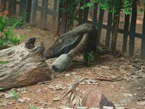 4-22 март 2008. Бкк-Конч-Тао-Самуи-Краби-ПиПи. Фото + Видео