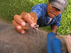 4-22 март 2008. Бкк-Конч-Тао-Самуи-Краби-ПиПи. Фото + Видео