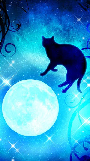 Moon Blackcat Kirakira FREE
