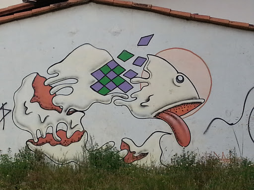 Grafite Do Peixe Ovo