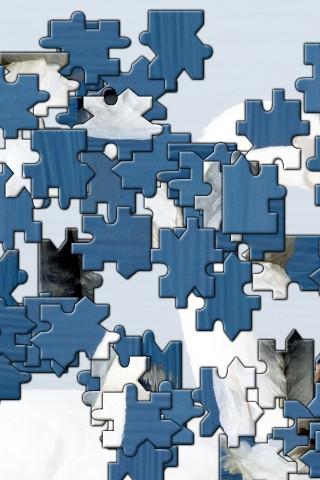 Swan Jigsaw