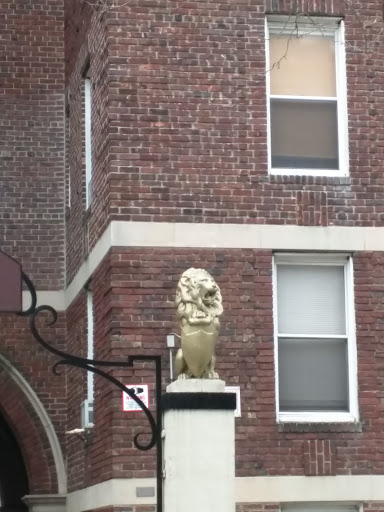 Flag Court Lion