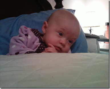 Photo-0066