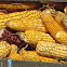 corn