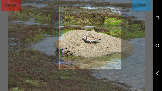 How to download Space Coast Reef Wallpapers 1.10.1 mod apk for laptop