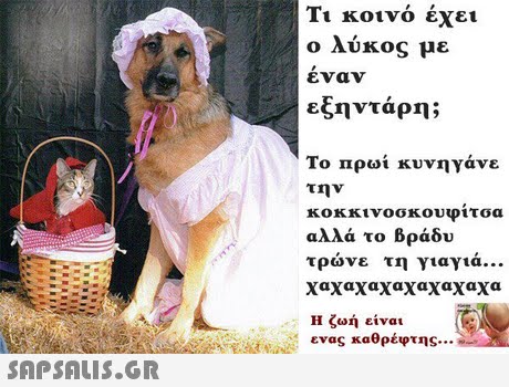 Τι κοινό έχει ο λύκος με εναν εξηντάρη; Το πρωί κυνηγάνε την κοκκινοσκουφιτσα αλλά το βράδυ τρωνε τη γιαγια xaxaxaxaxaxaxaxa Η ζωή είναι ενας καθρέφτης 