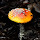 Mushroom hunting in New England