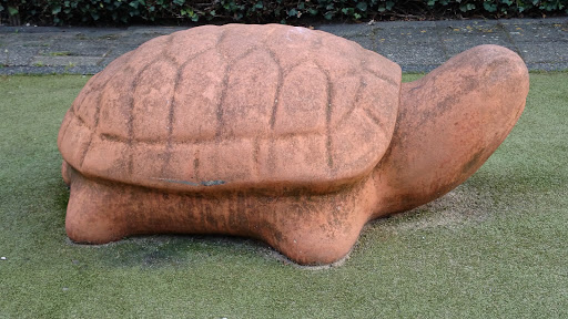 Oranje Schildpad