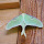 Ohio Lepidoptera