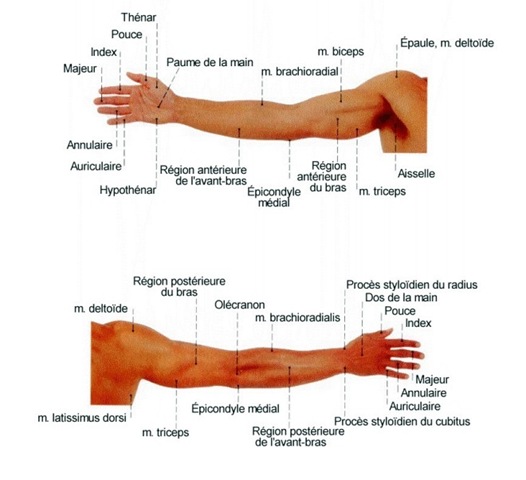 [livre patrice5_html_39d30f2e[6].jpg]