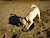 User profile picture thumbnail