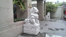 Vietnam Construction Bank Lions