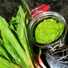 Spicy Ramp Kati Roll