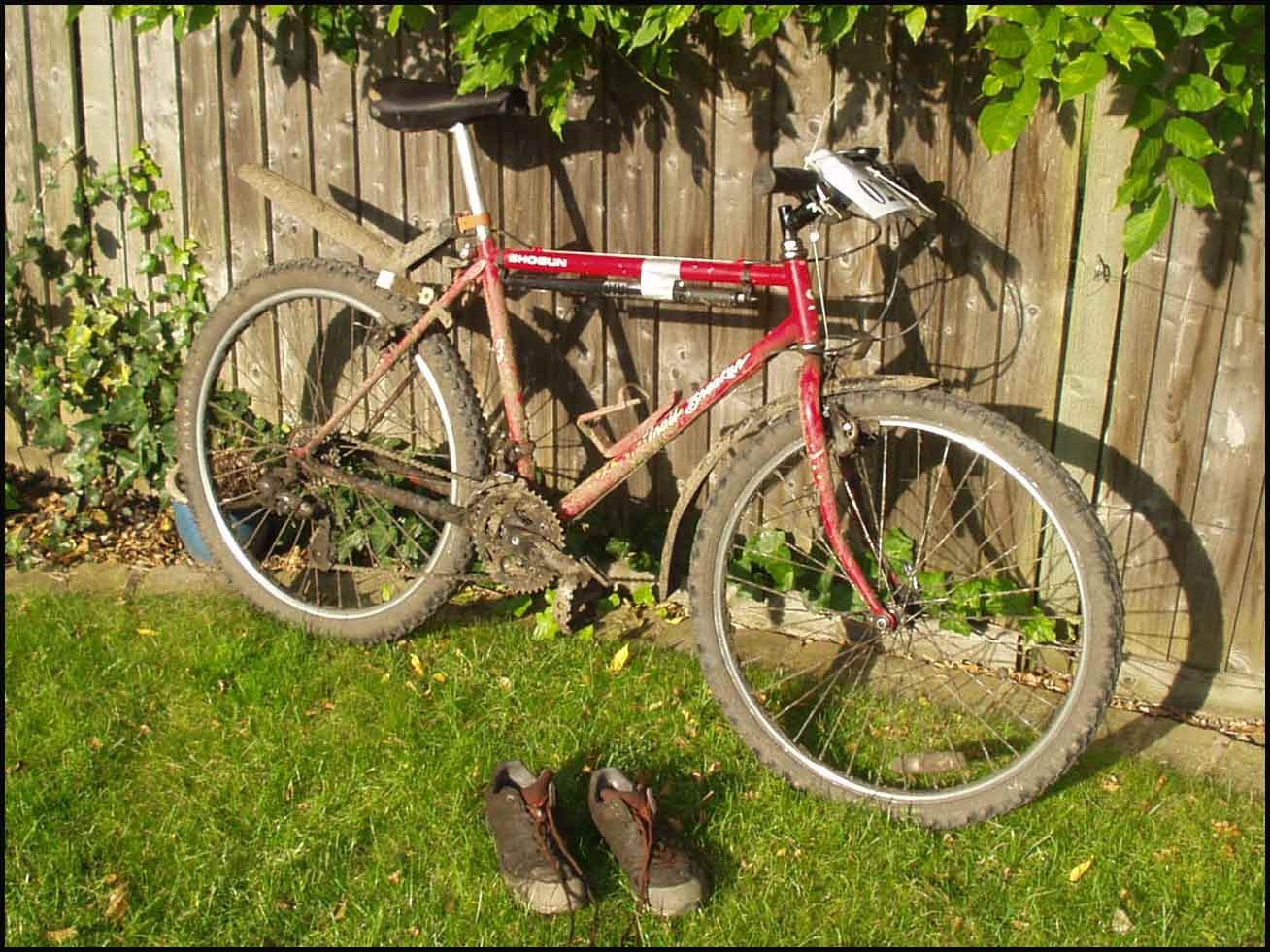 [1206bike[3].jpg]